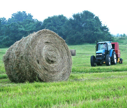 Farm Security Belfast